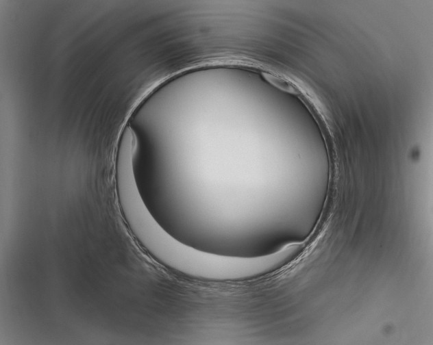 X0000116851097201001121215