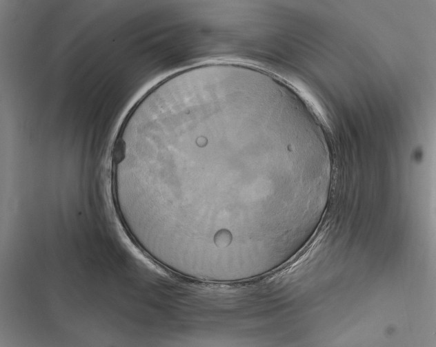 X0000116851100201001121214