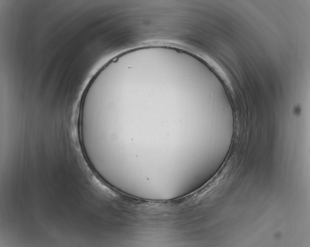 X0000116851102201001121214