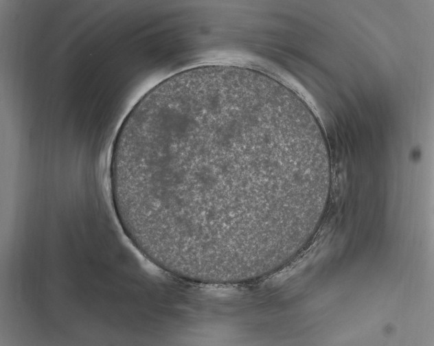 X0000116851103201001121214