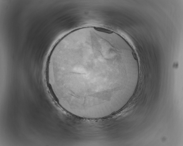 X0000116851104201001121214