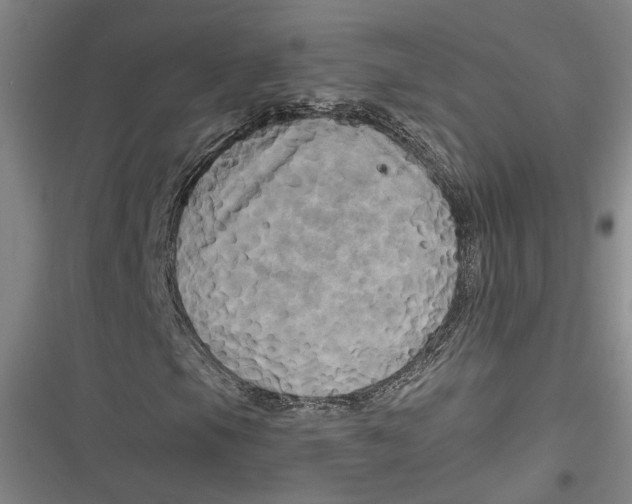 X0000116851105201001121214
