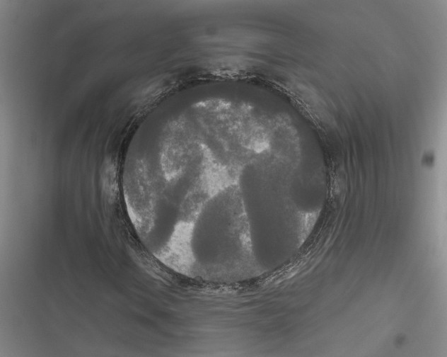 X0000116851106201001121214