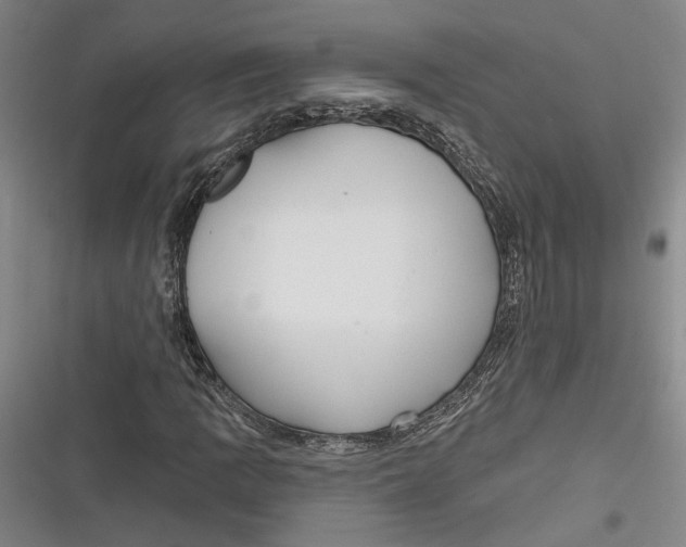 X0000116851109201001121214