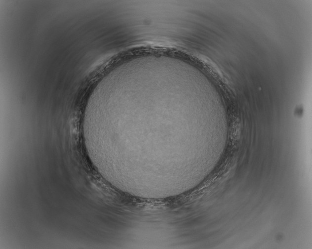 X0000116851110201001121214