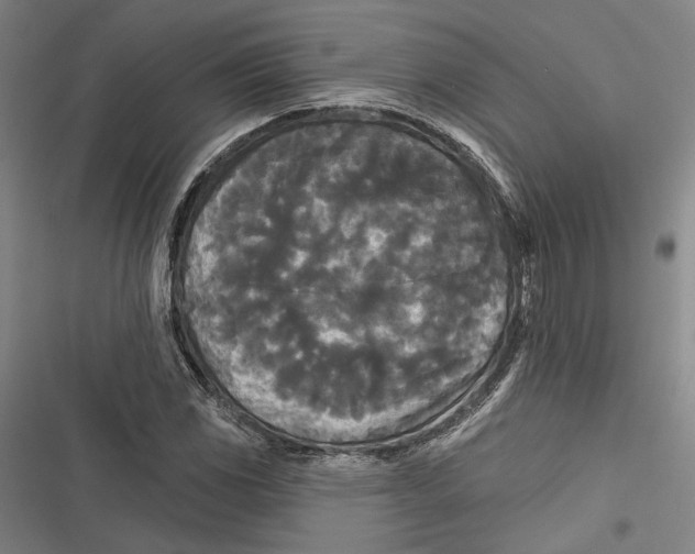 X0000116851117201001121214
