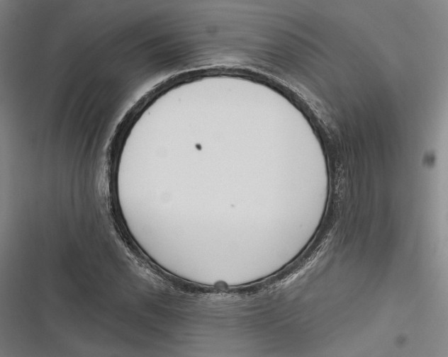 X0000116851118201001121214