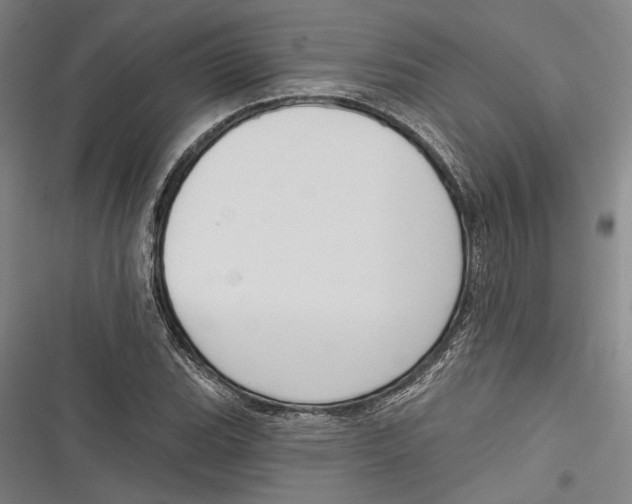 X0000116851119201001121214