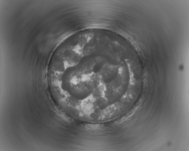 X0000116851121201001121214