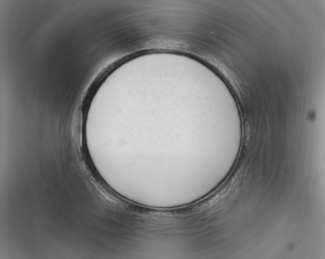 X0000116851123201001121214
