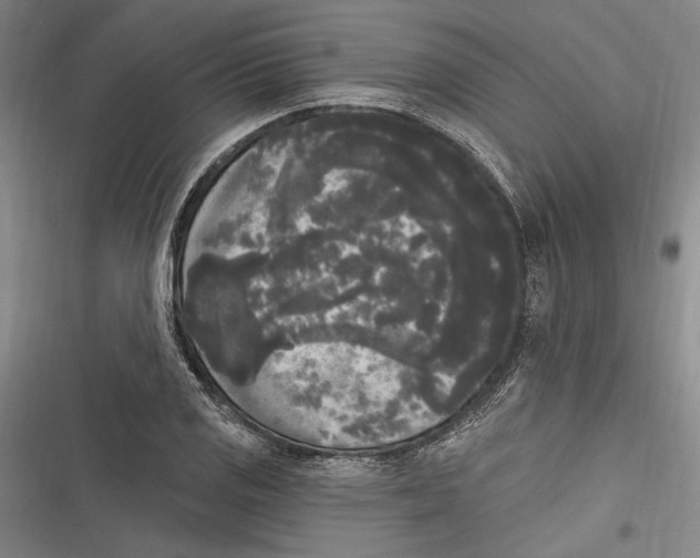 X0000116851125201001121214