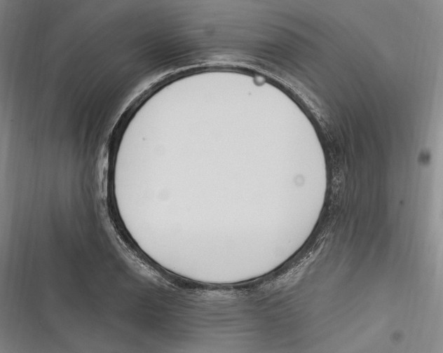 X0000116851126201001121214