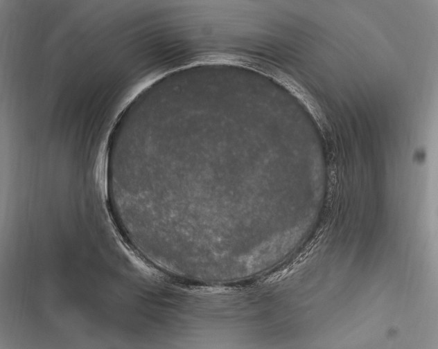 X0000116851127201001121214