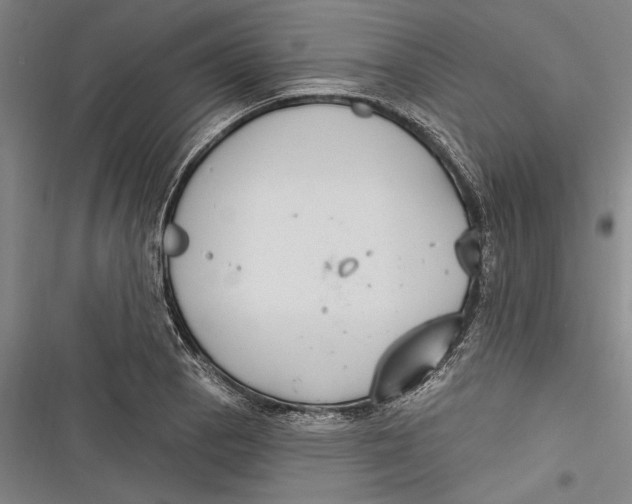 X0000116851129201001121214