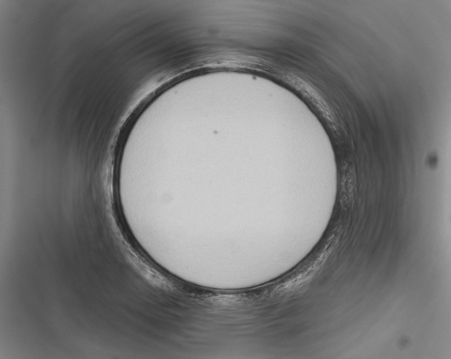 X0000116851130201001121214