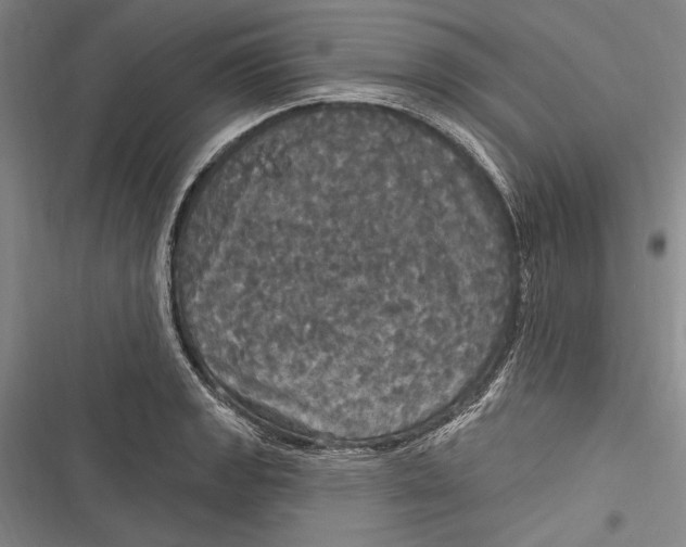 X0000116851133201001121214