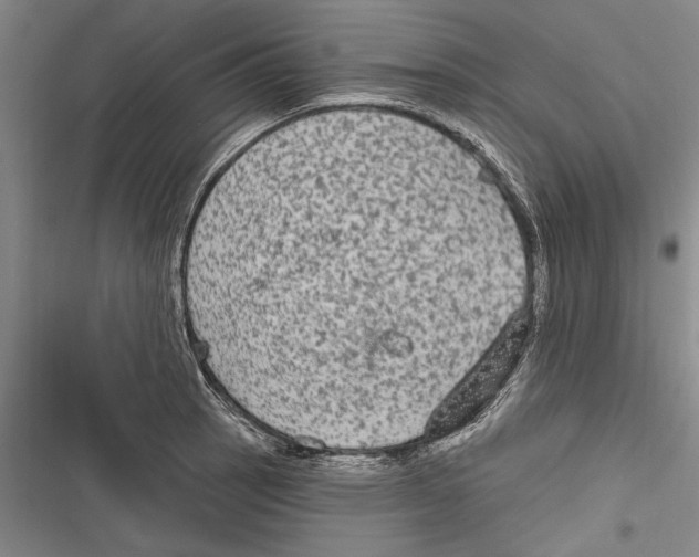 X0000116851137201001121214