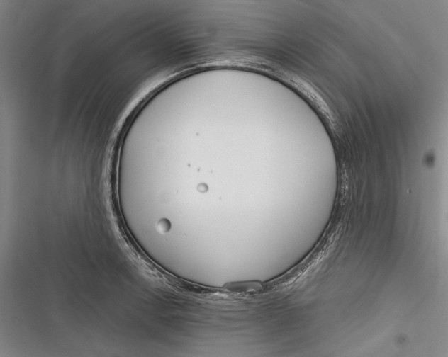 X0000116851138201001121214