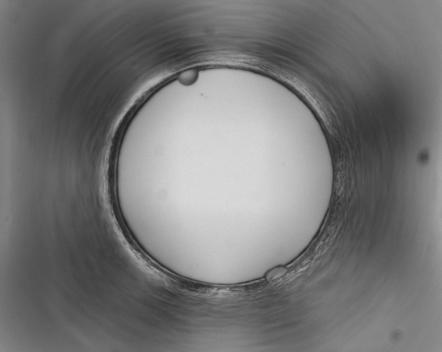 X0000116851139201001121214