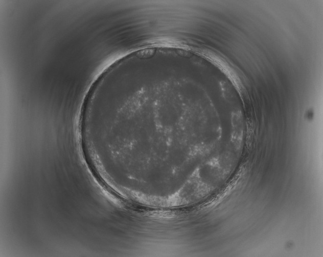 X0000116851141201001121214
