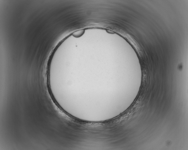 X0000116851143201001121214