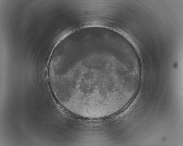 X0000116851145201001121214