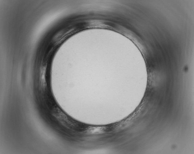 X0000116851150201001121214