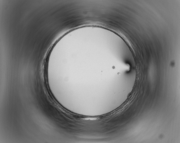 X0000116851151201001121214