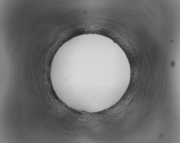 X0000116851153201001121214