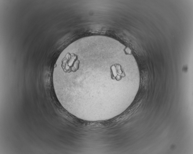 X0000116851154201001121214
