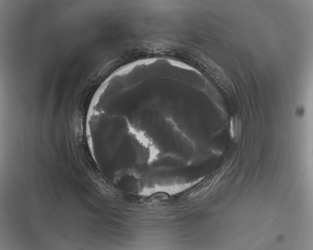 X0000116851155201001121214