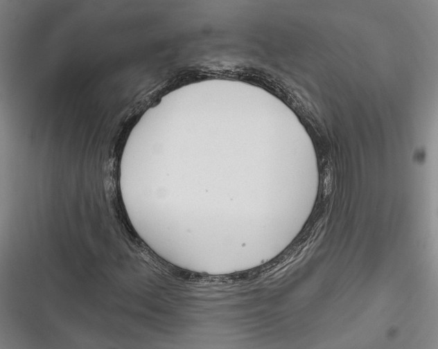 X0000116851156201001121214