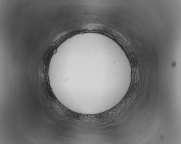 X0000116851158201001121214