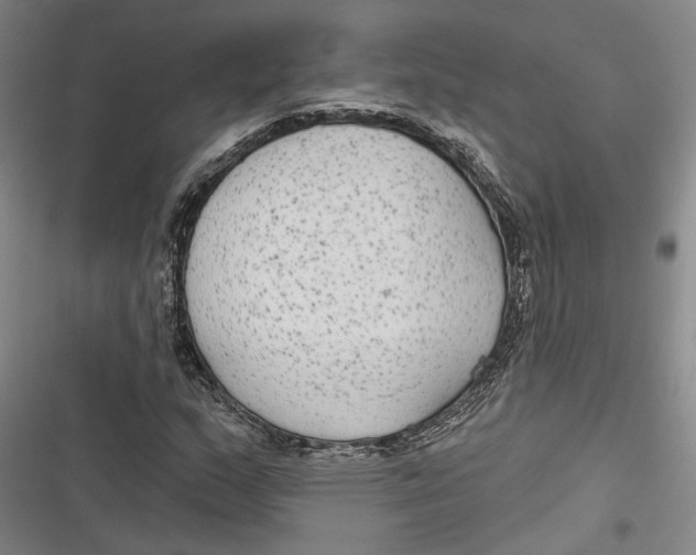 X0000116851159201001121214