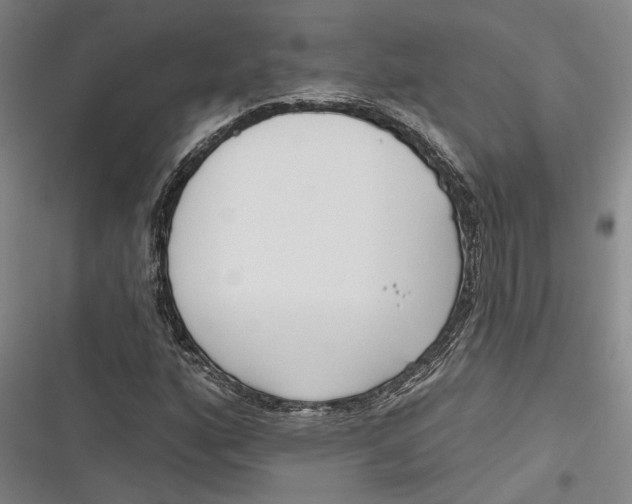 X0000116851160201001121214