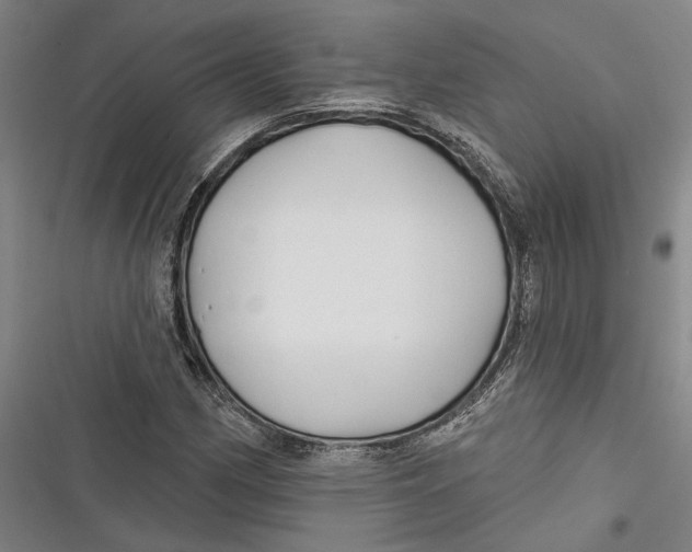 X0000116851162201001121214