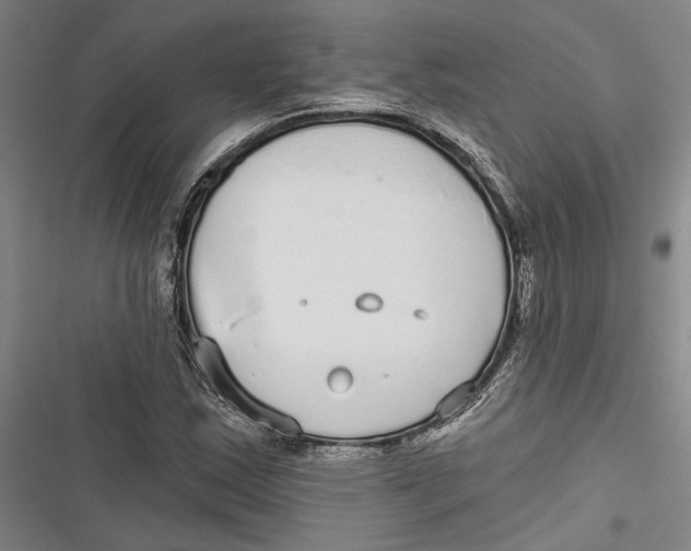 X0000116851163201001121214