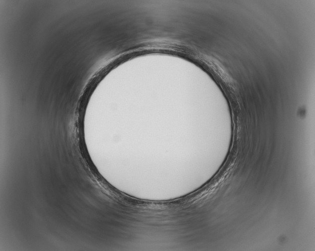 X0000116851164201001121214