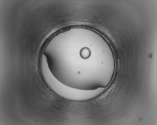 X0000116851165201001121214