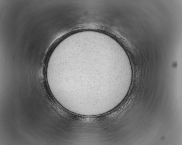 X0000116851166201001121214