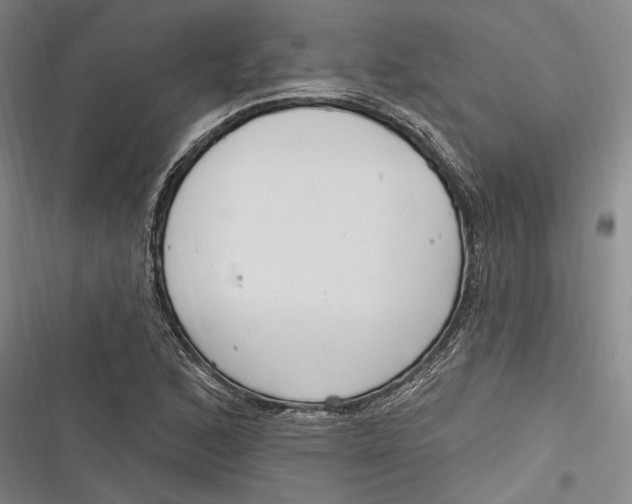 X0000116851168201001121214