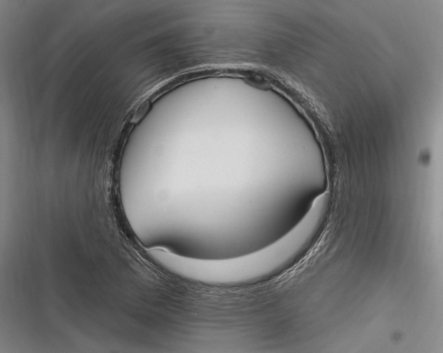X0000116851169201001121214