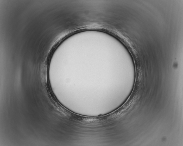 X0000116851171201001121214