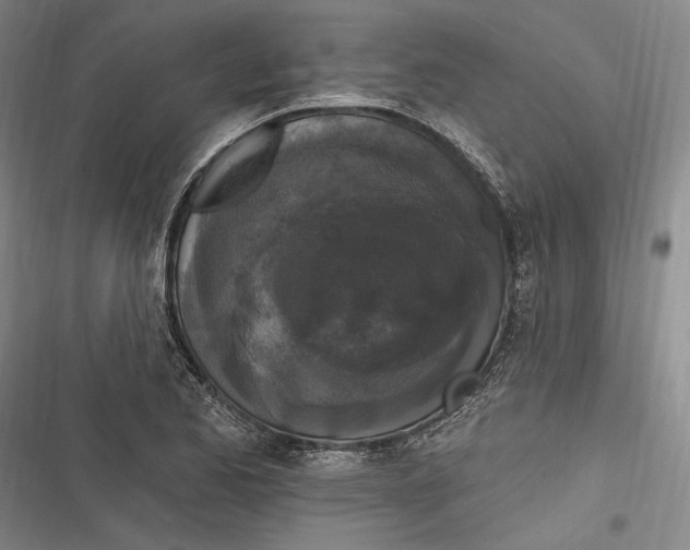 X0000116851173201001121214