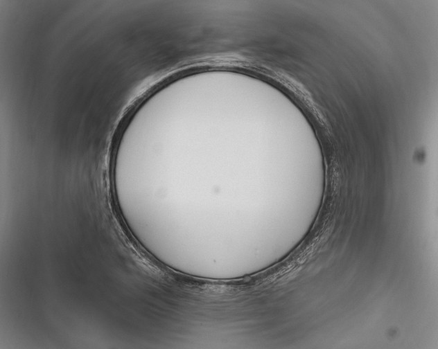 X0000116851176201001121213