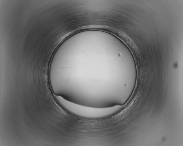 X0000116851177201001121213