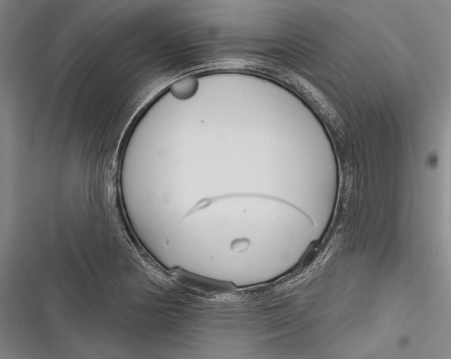 X0000116851178201001121213