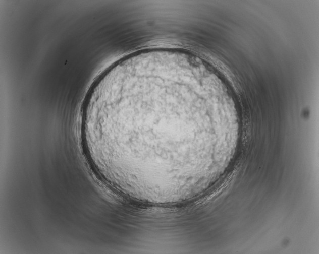 X0000116851179201001121213