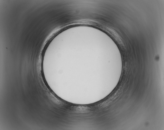 X0000116851180201001121213