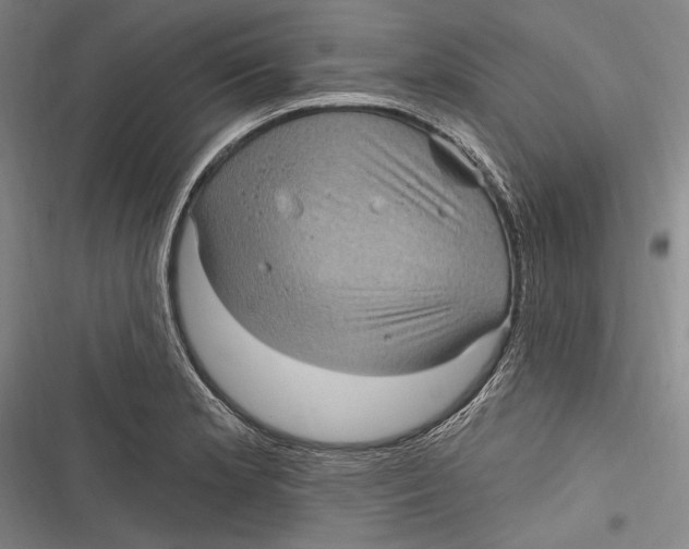 X0000116851181201001121213